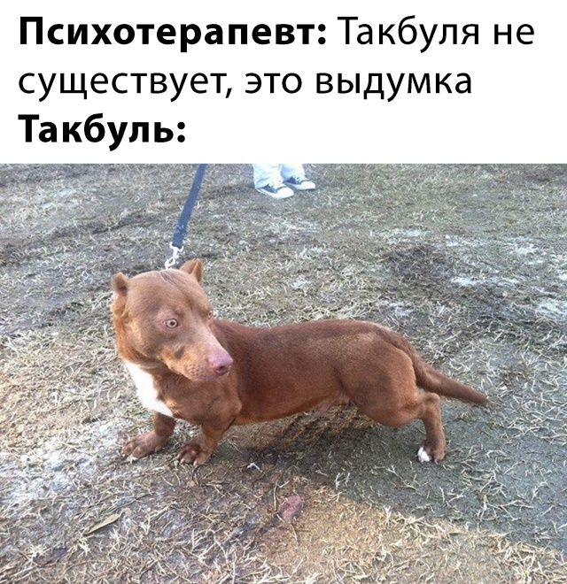 Шутка про психотерапевта