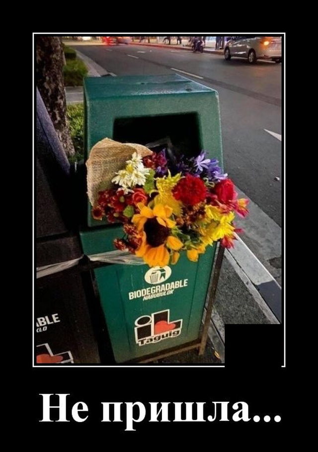 Демотиватор про цветы в мусорнике