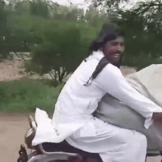 Перевозка коровы на мотоцикле
