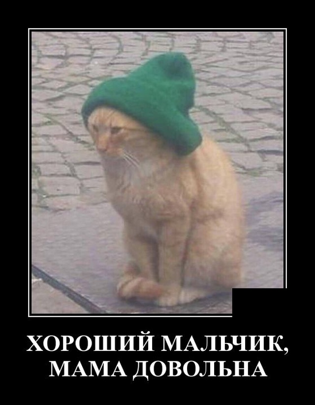 Демотиватор про хорошего мальчика
