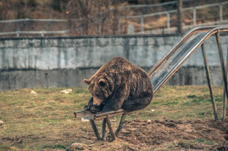 Подборка смешных картинок 9 марта 2020