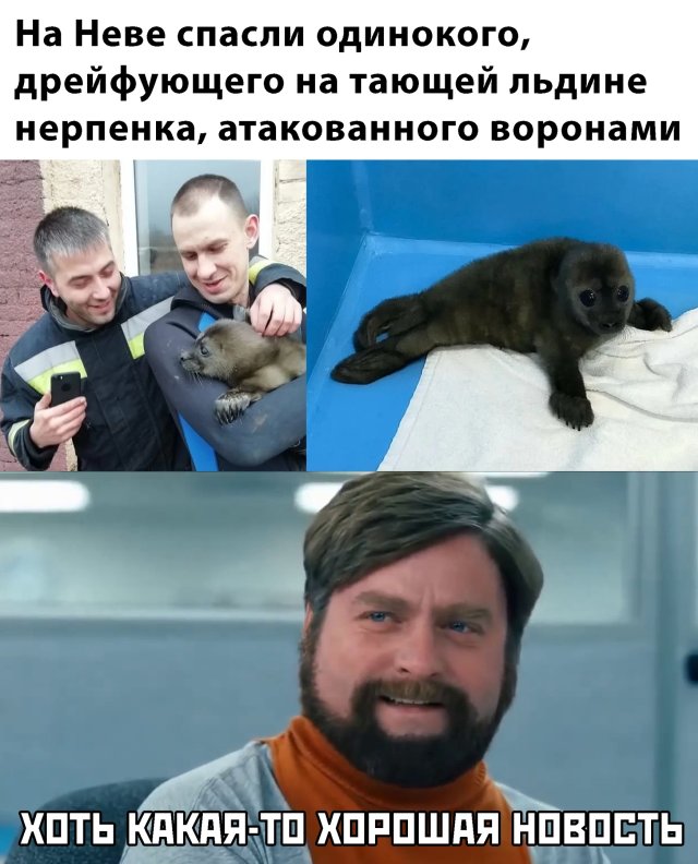 Подборка смешных картинок 9 марта 2020