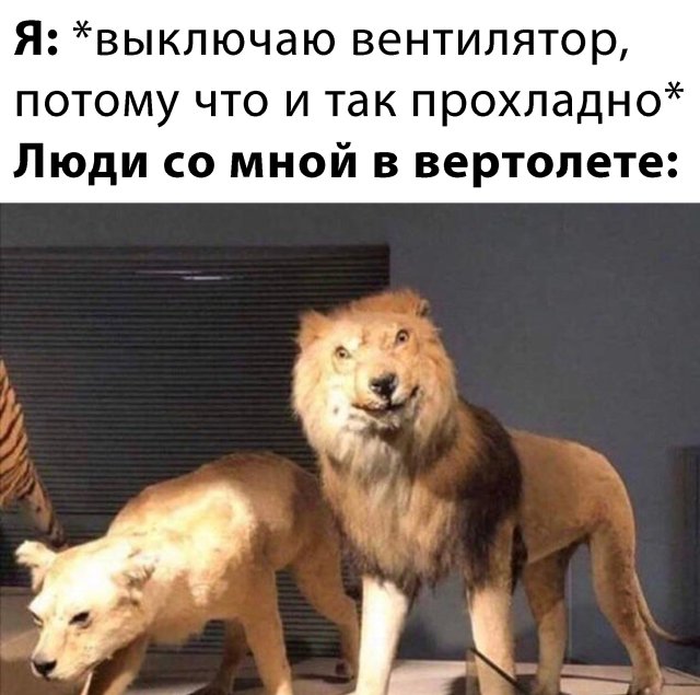 Подборка смешных картинок 9 марта 2020