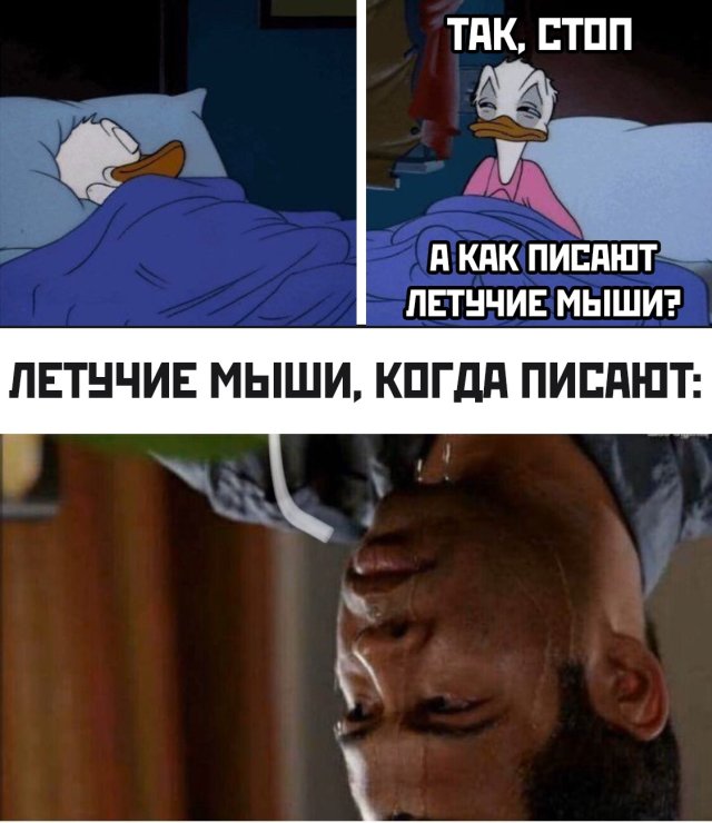 Подборка картинок вечерний выпуск 9 марта 2020