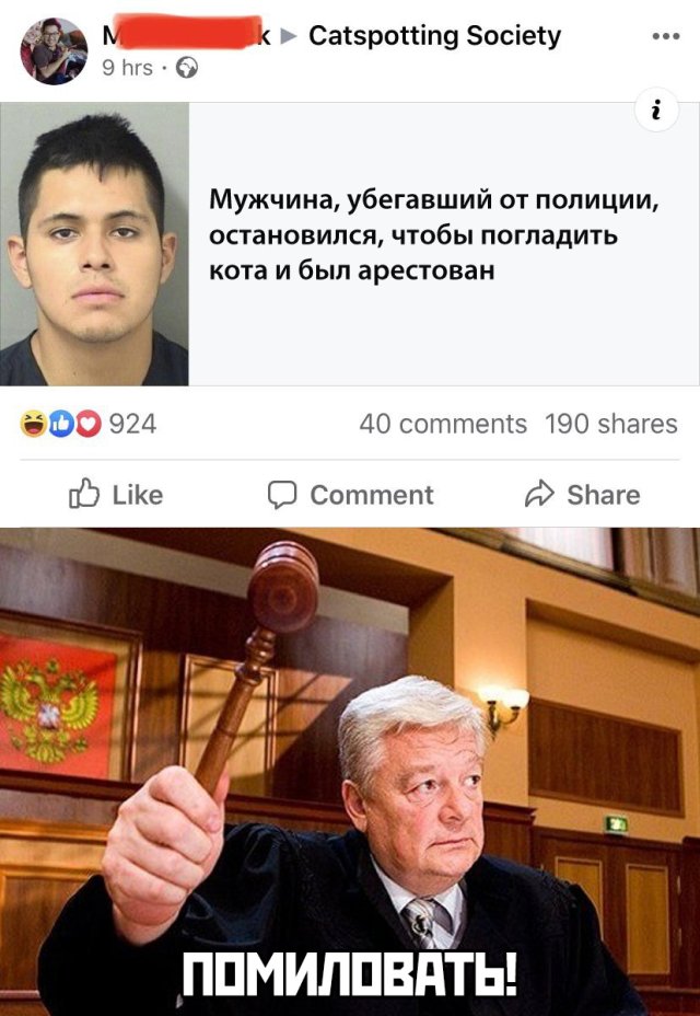Подборка картинок вечерний выпуск 9 марта 2020