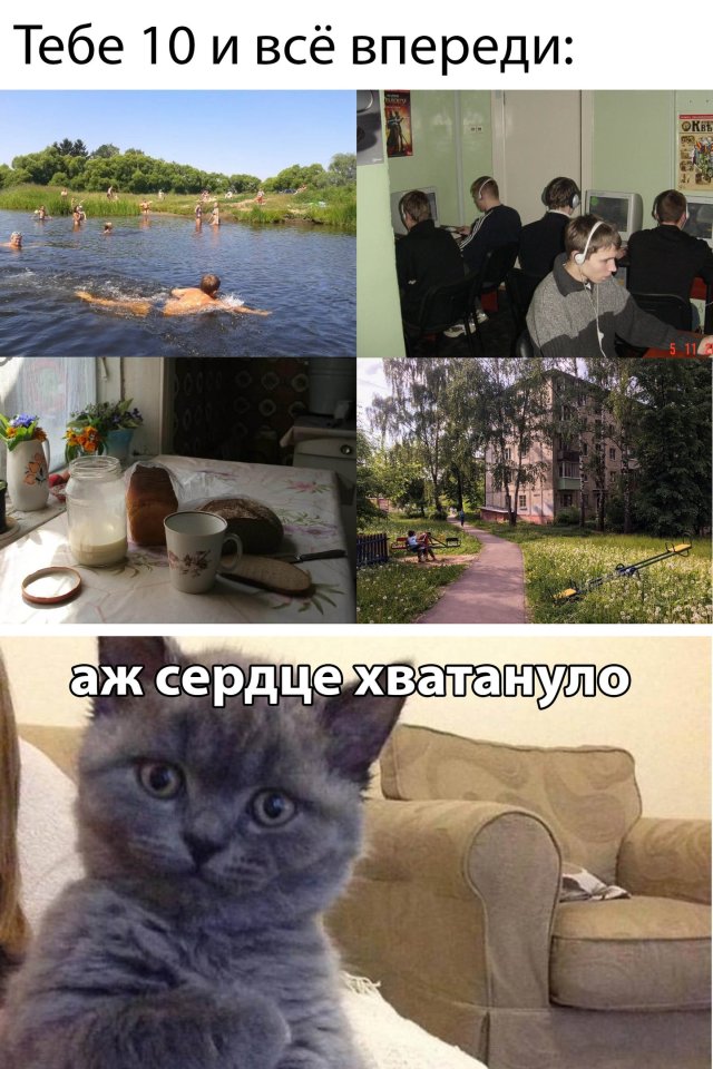 Смешные картинки 10 марта