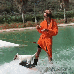 Водные лыжи с собакой