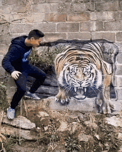 Рисунок тигра на стене