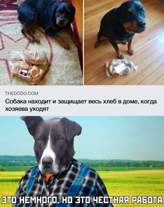 Веселые картинки вечер 10 марта