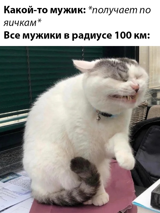 Веселые картинки вечер 10 марта
