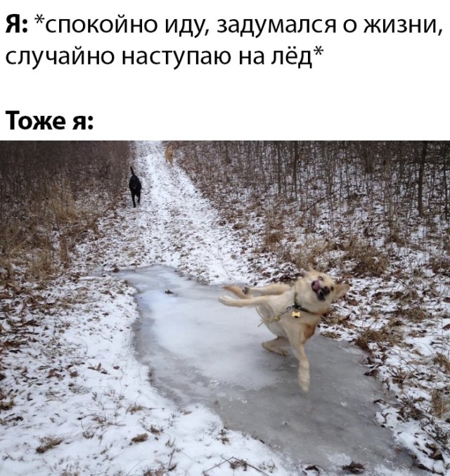 Смешные картинки вечер 12 марта