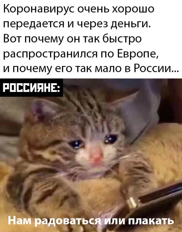 Прикольные картинки утро 17 марта