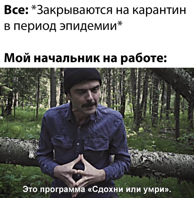 Прикольные картинки утро 17 марта