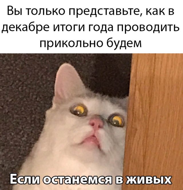 Веселые картинки вечер 17 марта
