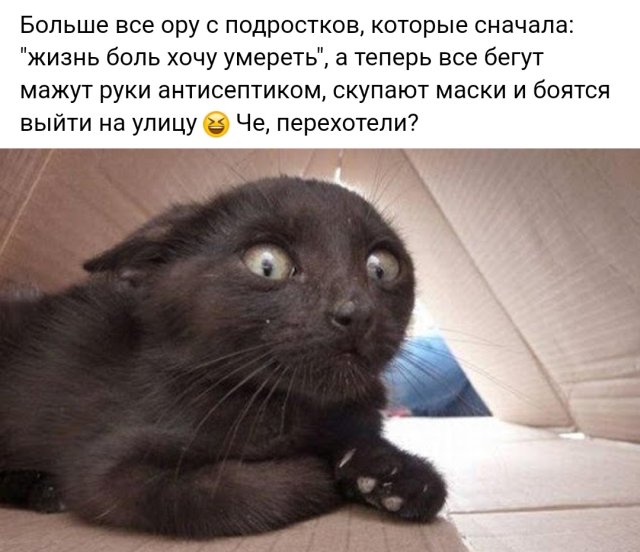 Веселые картинки вечер 17 марта