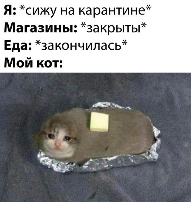 Смешные фото утро 19 марта