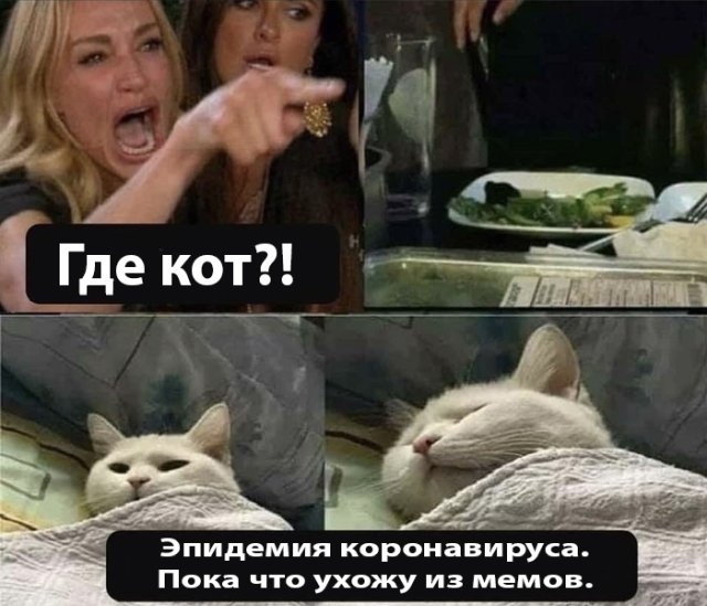 Смешные картинки вечер 20 марта