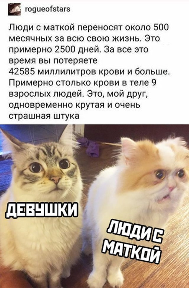 Смешные фото вечер 23 марта
