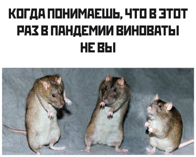 Смешные фото вечер 23 марта
