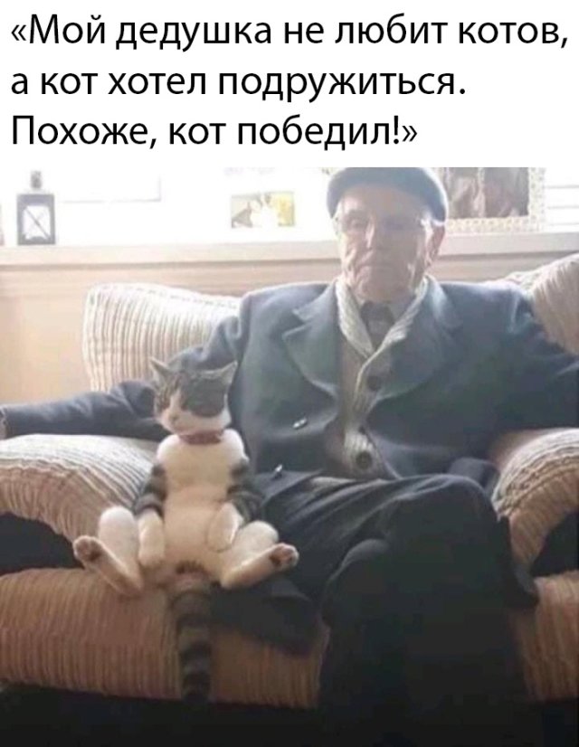 Веселые картинки вечер 24 марта 2020