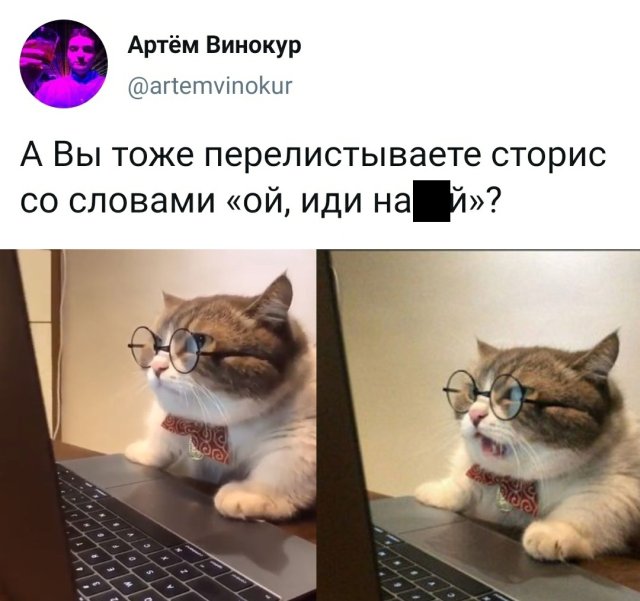 Веселые картинки вечер 24 марта 2020