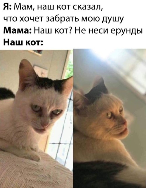 Веселые картинки вечер 24 марта 2020