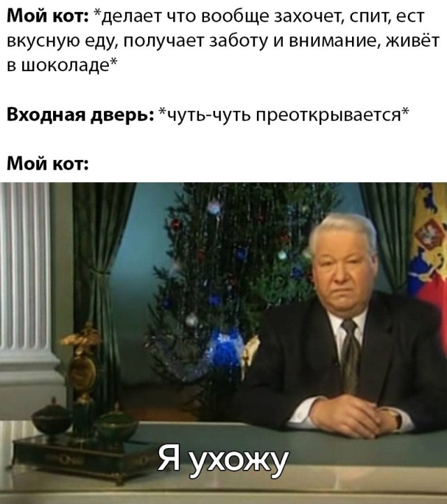 Веселые картинки вечер 24 марта 2020
