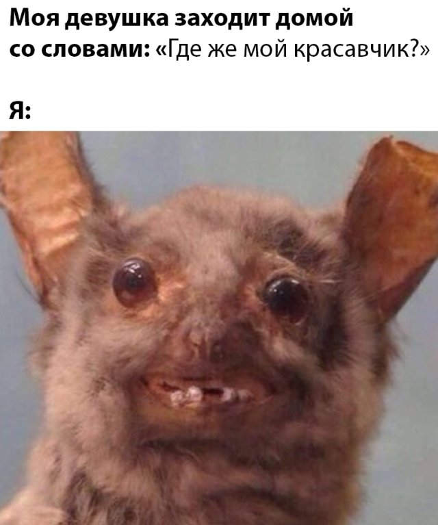 Веселые картинки вечер 24 марта 2020