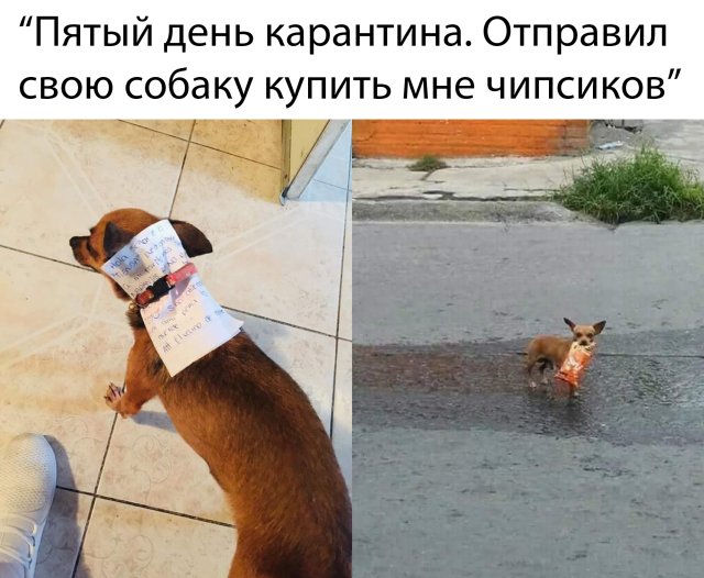 Смешные картинки утро 25 марта 2020
