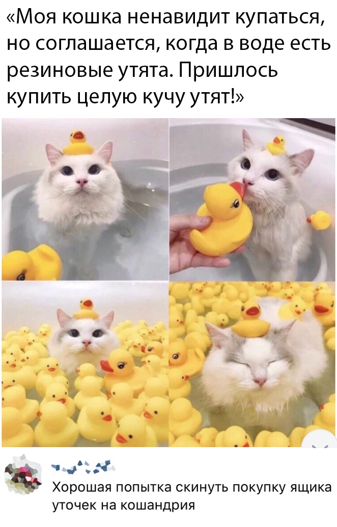 Смешные картинки утро 25 марта 2020