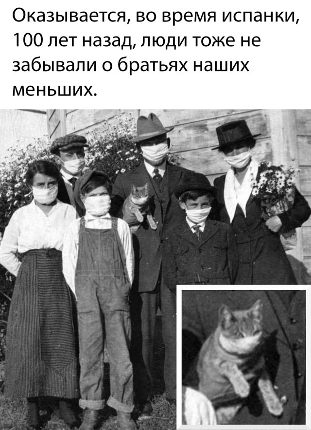 Смешные картинки утро 25 марта 2020
