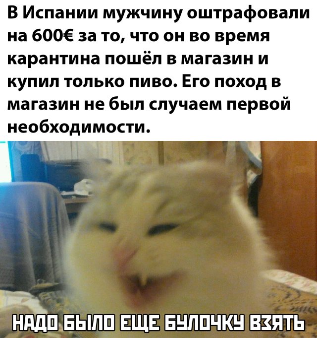 Смешные картинки утро 25 марта 2020