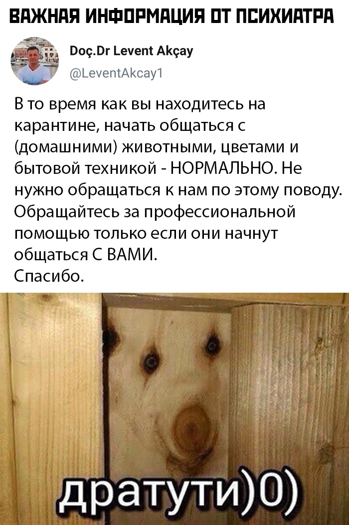 Смешные картинки утро 25 марта 2020