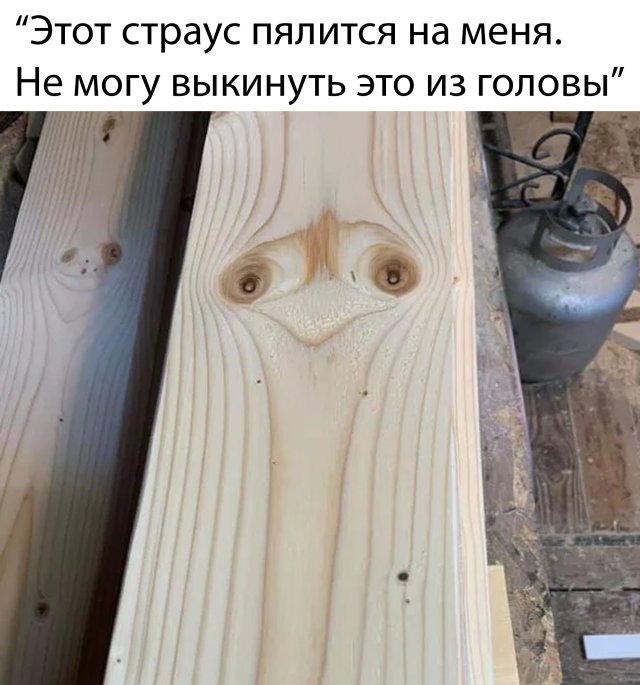 Смешные картинки день 30 марта 2020