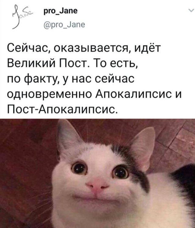 Смешные картинки день 30 марта 2020