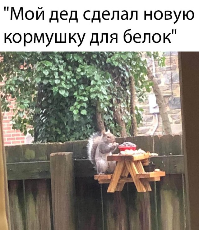 Смешные фото вечер 30 марта 2020