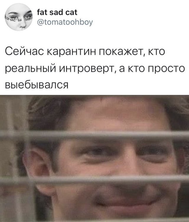 Смешные фото вечер 30 марта 2020