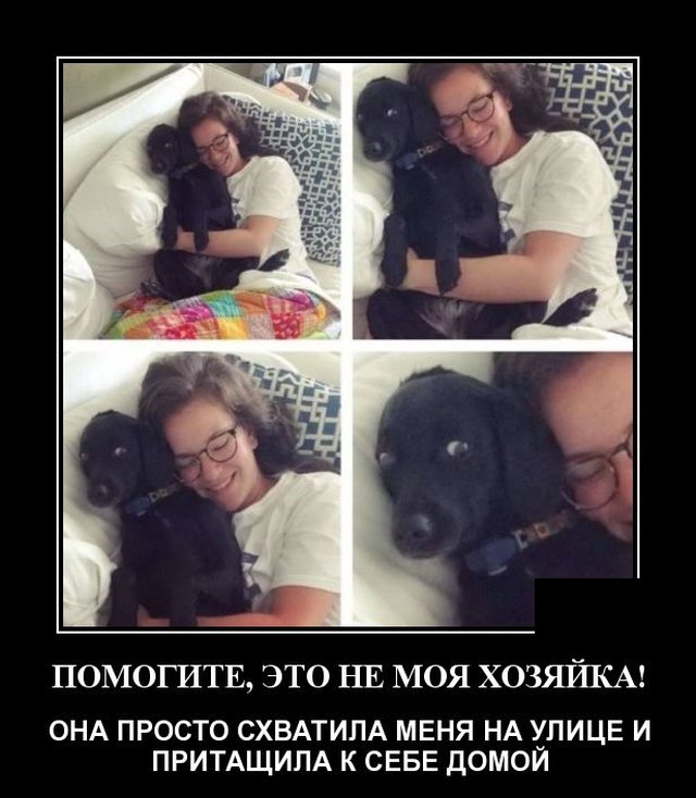 Демотиватор про собаку и хозяйку