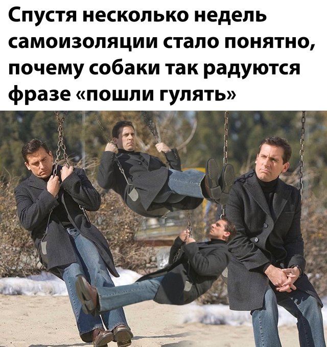 Смешные фото вечер 20 апреля 2020