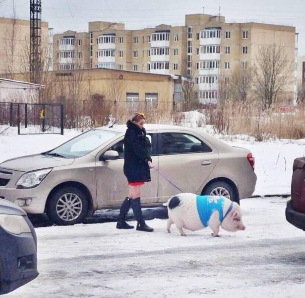 Смешные фото вечер 20 апреля 2020