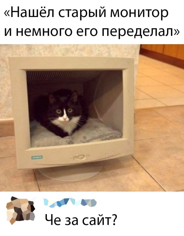 Смешные картинки 22 апреля 2020