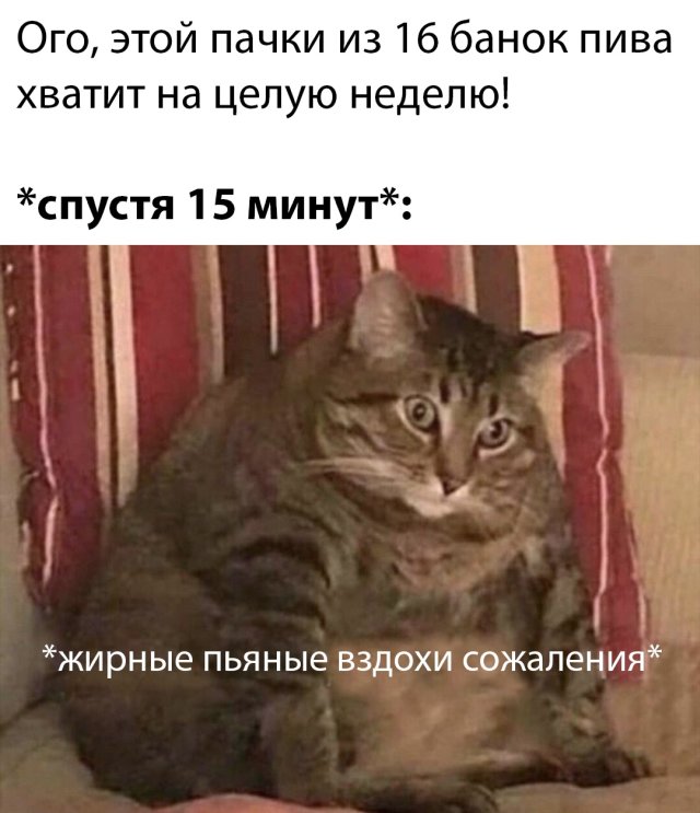 Смешные картинки вечер 23 апреля 2020