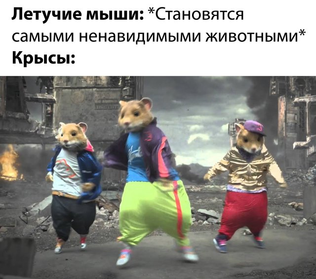 Смешные картинки вечер 23 апреля 2020
