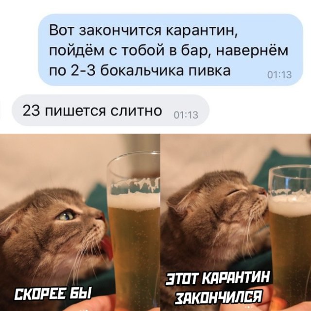 Смешные картинки 29 апреля 2020