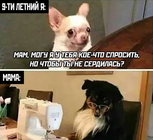 Смешные картинки 29 апреля 2020
