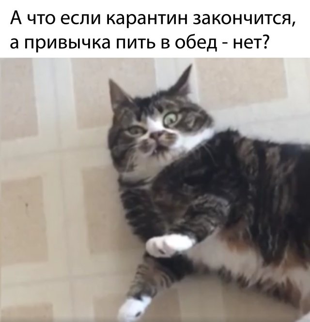 Смешные картинки 29 апреля 2020