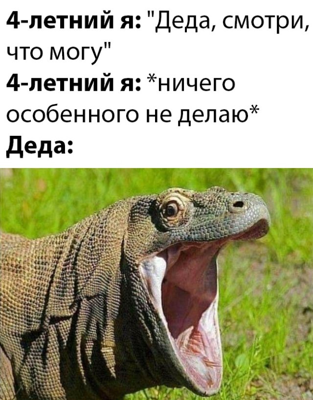 Смешные картинки вечер 29 апреля 2020
