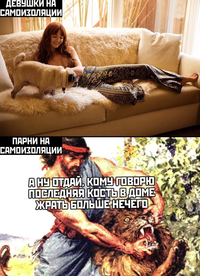 Смешные картинки вечер 29 апреля 2020