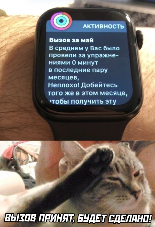 Смешные картинки пятница 1 мая 2020