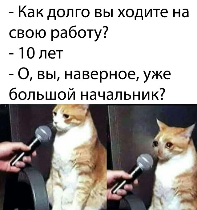 Смешные картинки пятница 1 мая 2020